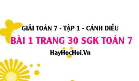 Giải bài 1 trang 30 Toán 7 Tập 1 SGK Cánh Diều